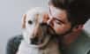 La plupart des maîtres devront, un jour, affronter la perte de leur chien et souhaitent avant tout que celui-ci ne souffre pas. Or avec le temps, des pathologies peuvent affecter la vie des chiens. Si aucune autre solution est envisageable, l’euthanasie permet d’éviter que l’animal ne finisse sa vie dans la souffrance.